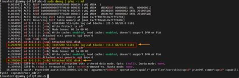 lvm creation linux step by.